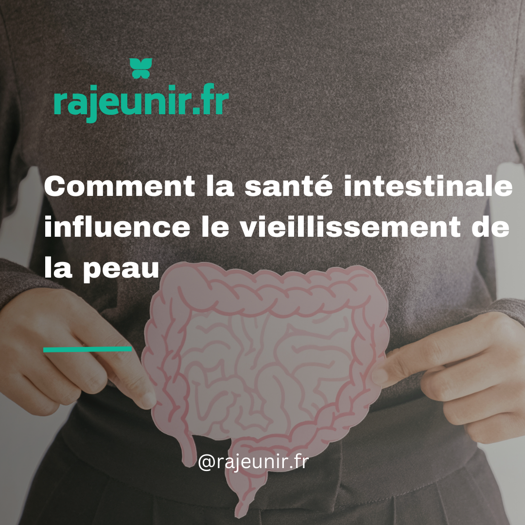 Comment la santé intestinale influence le vieillissement de la peau