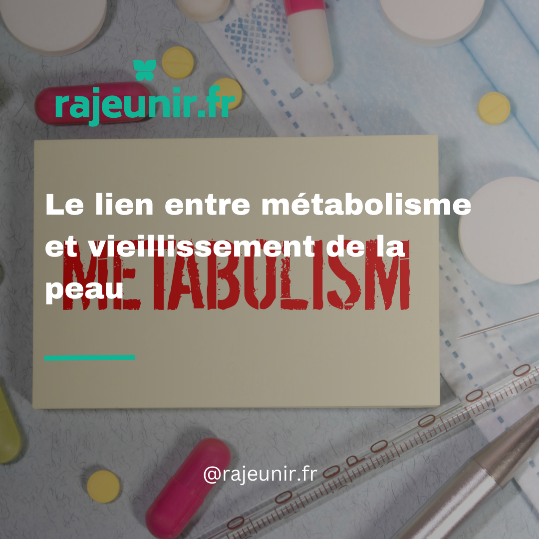 Le lien entre métabolisme et vieillissement de la peau