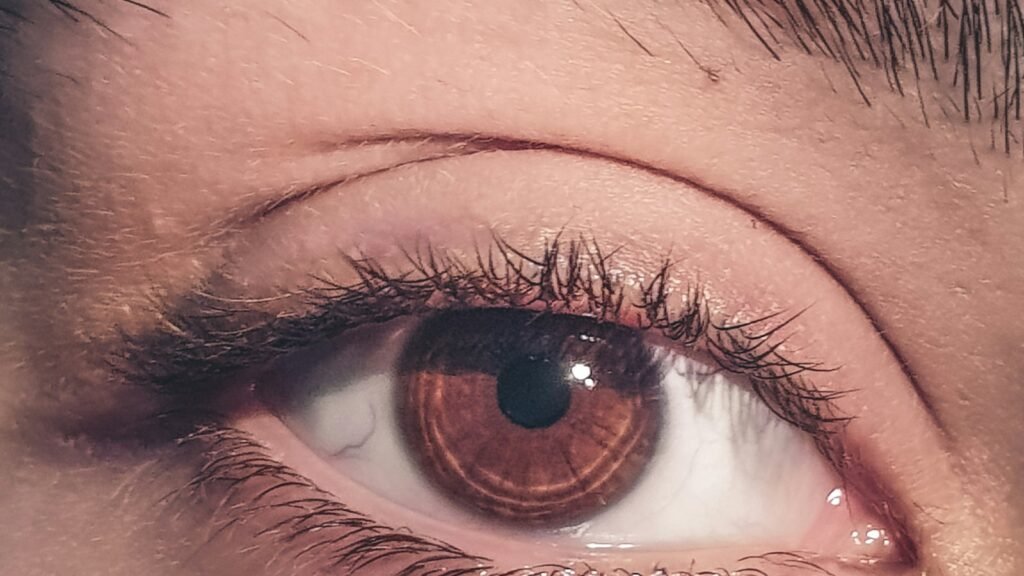 Gros plan sur un œil et le contour de l'œil